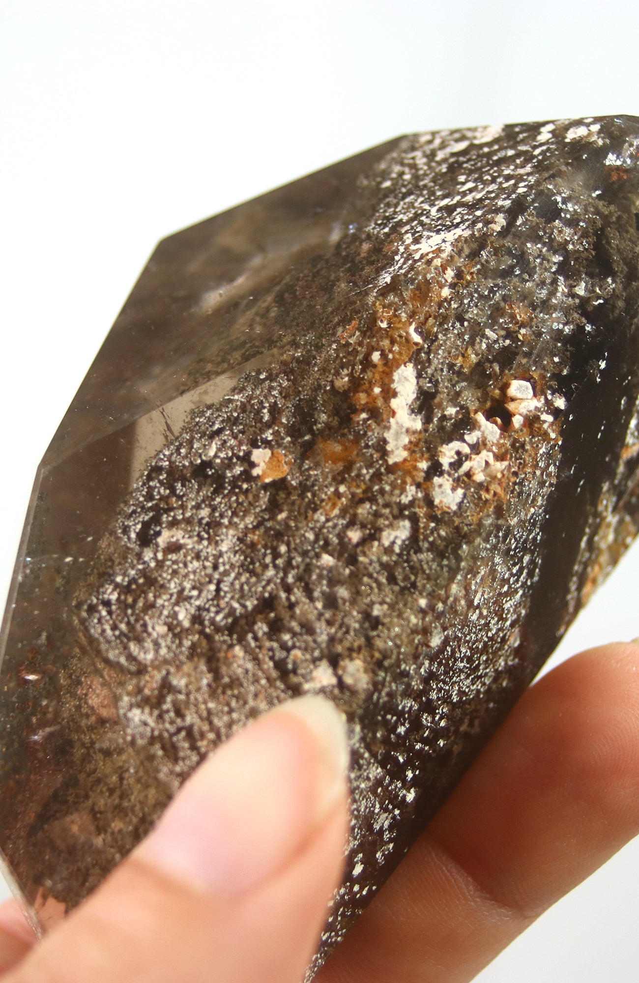 Lodalite Quartz Freeform Generator